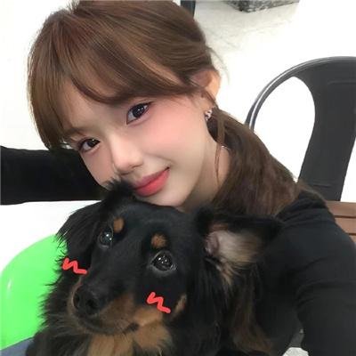 阿尔法：狼伴归途